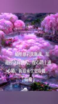 世界杯换装